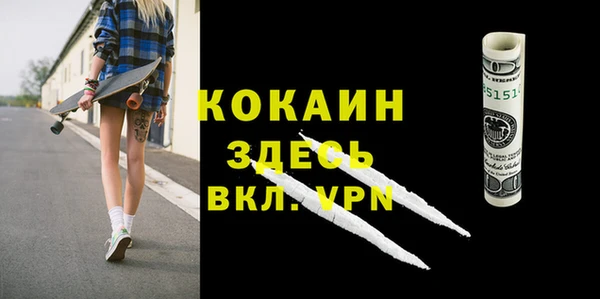 твердый Покачи