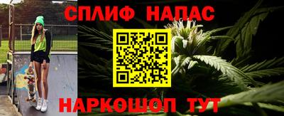 прущие грибы Бийск