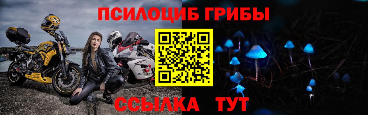 Псилоцибиновые грибы MAGIC MUSHROOMS  Псилоцибиновые грибы MAGIC MUSHROOMS  Вход с VPN  Калининград 